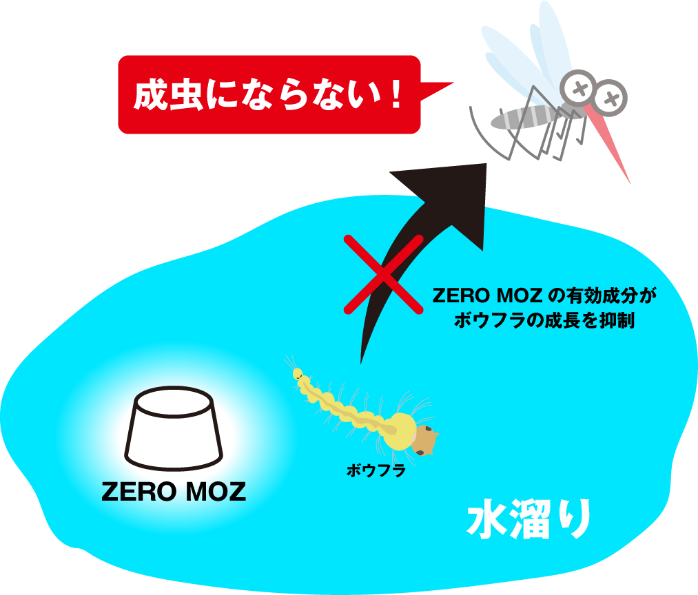 zero mozの有効成分が働いてボウフラから蚊への成長を抑制する